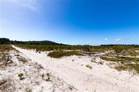 False - Farm For Sale in Albertinia, Western Cape - M120327