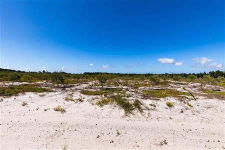 False - Farm For Sale in Albertinia, Western Cape - M120327