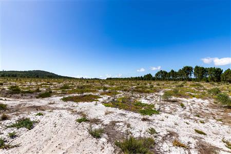 False - Farm For Sale in Albertinia, Western Cape - M120327