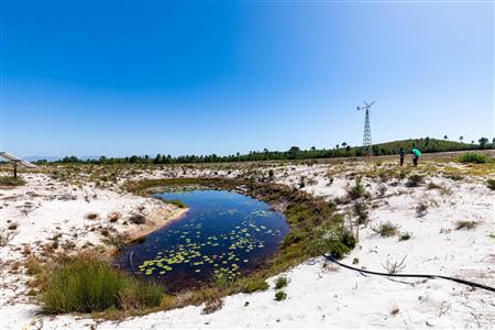 False - Farm For Sale in Albertinia, Western Cape - M120327