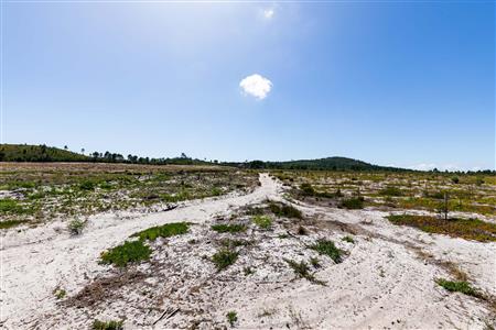 False - Farm For Sale in Albertinia, Western Cape - M120327