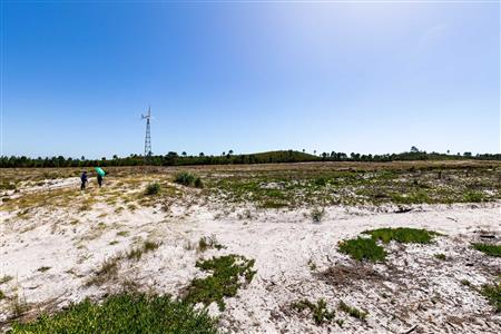 False - Farm For Sale in Albertinia, Western Cape - M120327
