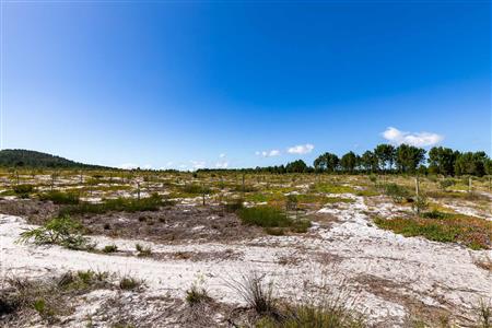 False - Farm For Sale in Albertinia, Western Cape - M120327