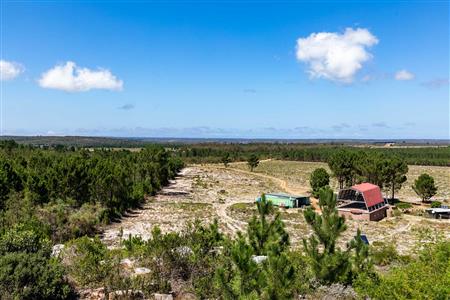 False - Farm For Sale in Albertinia, Western Cape - M120327