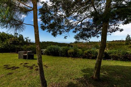 False - Farm For Sale in Roodefontein AH, Plettenberg Bay Rural, Plettenberg Bay, Western Cape - M120671