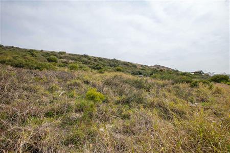 False - Vacant Land For Sale in Diaz Industria, Mossel Bay, Western Cape - M120684