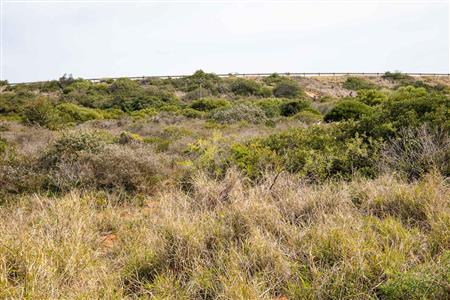 False - Vacant Land For Sale in Diaz Industria, Mossel Bay, Western Cape - M120684