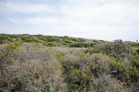 False - Vacant Land For Sale in Diaz Industria, Mossel Bay, Western Cape - M120684