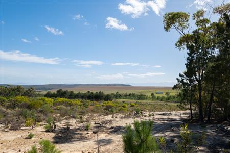 False - Vacant Land For Sale in Napier, Western Cape - M120788