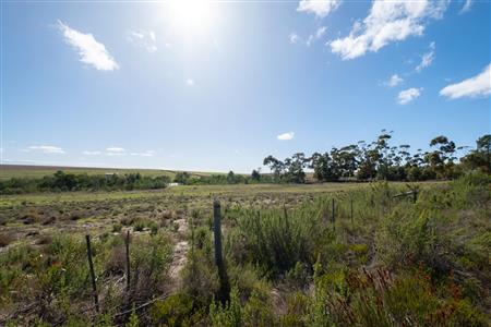 False - Vacant Land For Sale in Napier, Western Cape - M120788