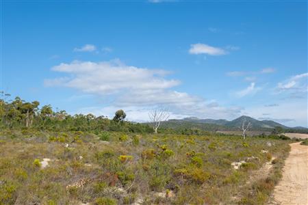 False - Vacant Land For Sale in Napier, Western Cape - M120788