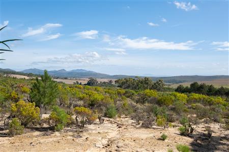 False - Vacant Land For Sale in Napier, Western Cape - M120788