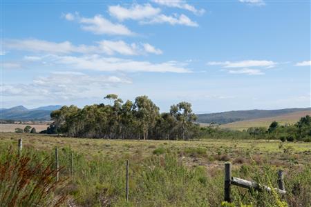 False - Vacant Land For Sale in Napier, Western Cape - M120788