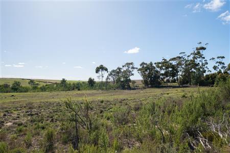 False - Vacant Land For Sale in Napier, Western Cape - M120788