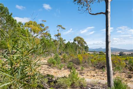 False - Vacant Land For Sale in Napier, Western Cape - M120788