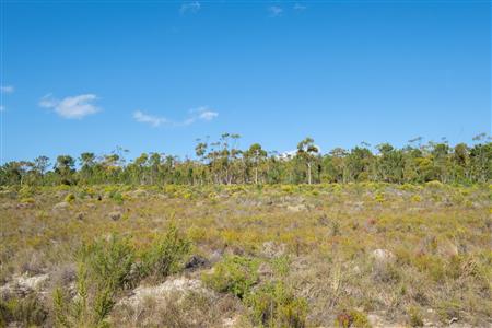 False - Vacant Land For Sale in Napier, Western Cape - M120788