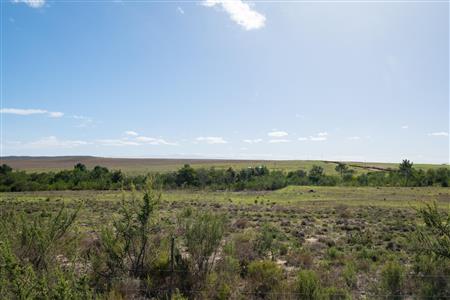 False - Vacant Land For Sale in Napier, Western Cape - M120788