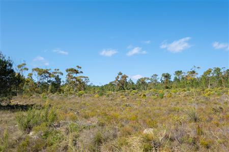 False - Vacant Land For Sale in Napier, Western Cape - M120788