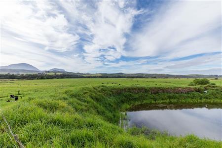 False - Farm For Sale in Riversdale Rural, Riversdale, Western Cape - M120841