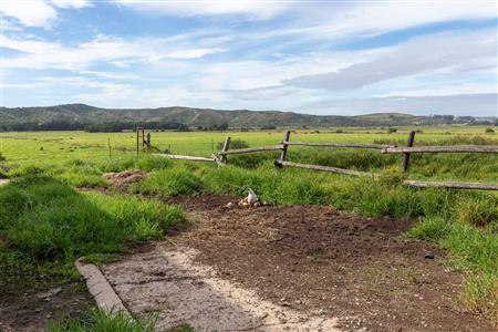False - Farm For Sale in Riversdale Rural, Riversdale, Western Cape - M120841