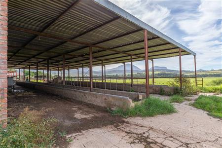 False - Farm For Sale in Riversdale Rural, Riversdale, Western Cape - M120841