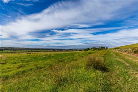 False - Farm For Sale in Riversdale Rural, Riversdale, Western Cape - M120841
