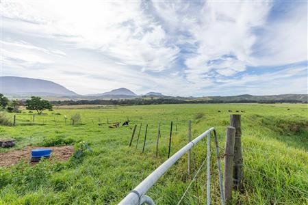 False - Farm For Sale in Riversdale Rural, Riversdale, Western Cape - M120841