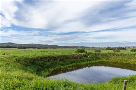 False - Farm For Sale in Riversdale Rural, Riversdale, Western Cape - M120841