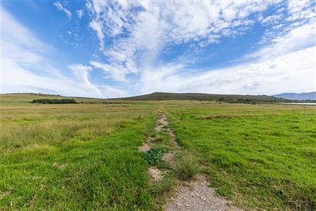 False - Farm For Sale in Riversdale Rural, Riversdale, Western Cape - M120841