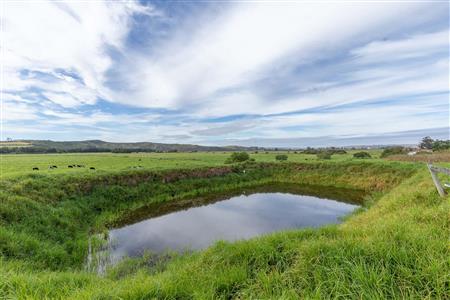 False - Farm For Sale in Riversdale Rural, Riversdale, Western Cape - M120841