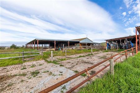False - Farm For Sale in Riversdale Rural, Riversdale, Western Cape - M120841