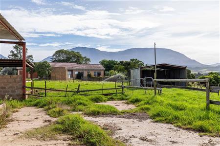 False - Farm For Sale in Riversdale Rural, Riversdale, Western Cape - M120841