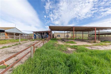 False - Farm For Sale in Riversdale Rural, Riversdale, Western Cape - M120841