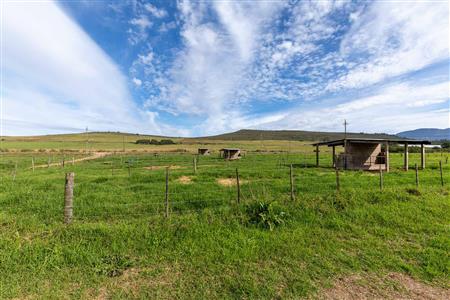 False - Farm For Sale in Riversdale Rural, Riversdale, Western Cape - M120841