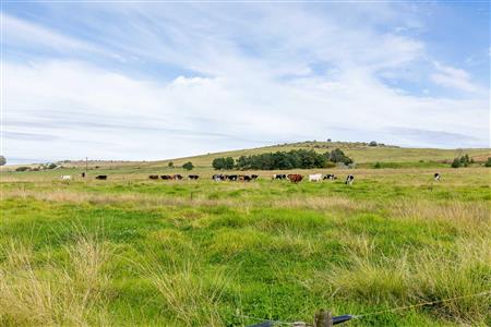 False - Farm For Sale in Riversdale Rural, Riversdale, Western Cape - M120841