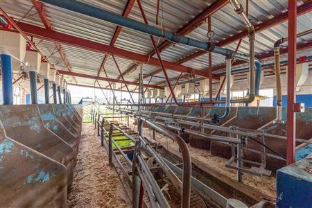 False - Farm For Sale in Riversdale Rural, Riversdale, Western Cape - M120841