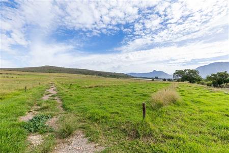 False - Farm For Sale in Riversdale Rural, Riversdale, Western Cape - M120841