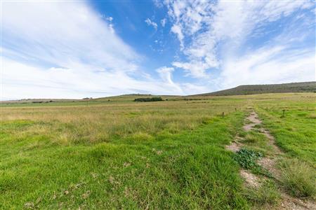 False - Farm For Sale in Riversdale Rural, Riversdale, Western Cape - M120841