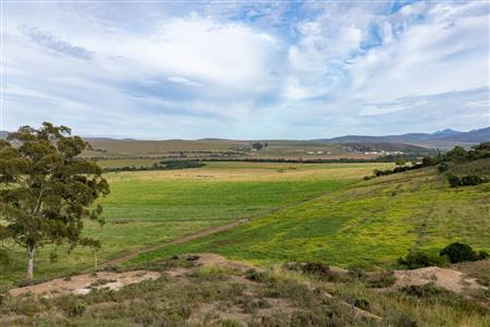 Farm For Sale in Riversdale Rural, Riversdale, Western Cape - M120839