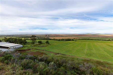Farm For Sale in Riversdale Rural, Riversdale, Western Cape - M120839