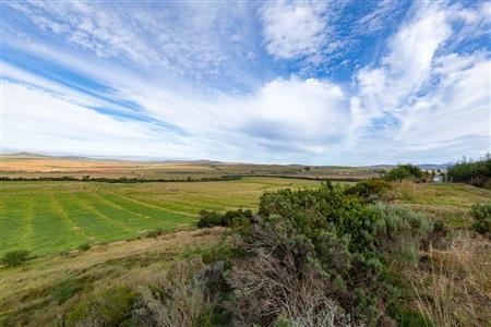 Farm For Sale in Riversdale Rural, Riversdale, Western Cape - M120839
