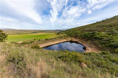 Farm For Sale in Riversdale Rural, Riversdale, Western Cape - M120839