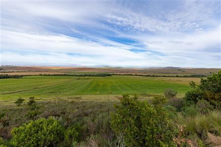 Farm For Sale in Riversdale Rural, Riversdale, Western Cape - M120839