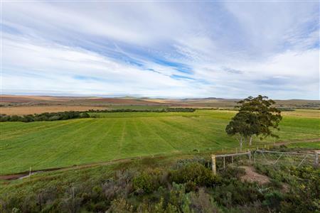 Farm For Sale in Riversdale Rural, Riversdale, Western Cape - M120839