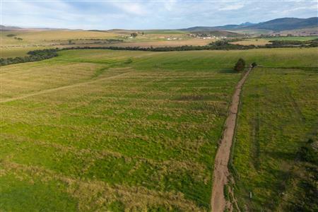 Farm For Sale in Riversdale Rural, Riversdale, Western Cape - M120839