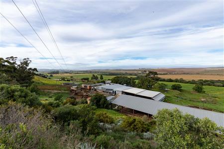 Farm For Sale in Riversdale Rural, Riversdale, Western Cape - M120839