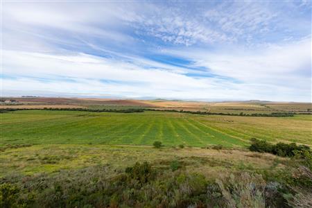 Farm For Sale in Riversdale Rural, Riversdale, Western Cape - M120839