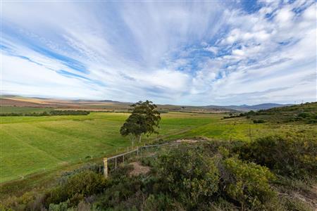Farm For Sale in Riversdale Rural, Riversdale, Western Cape - M120839