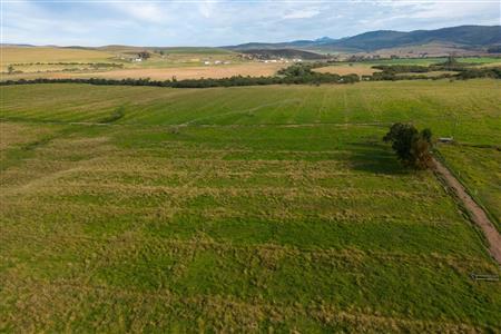 Farm For Sale in Riversdale Rural, Riversdale, Western Cape - M120839