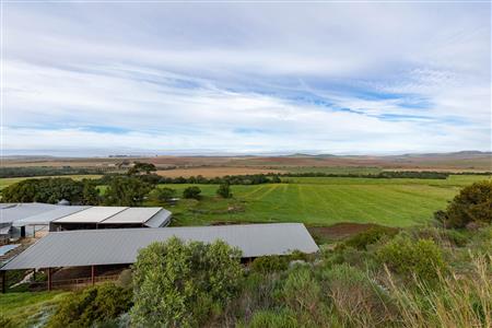 Farm For Sale in Riversdale Rural, Riversdale, Western Cape - M120839